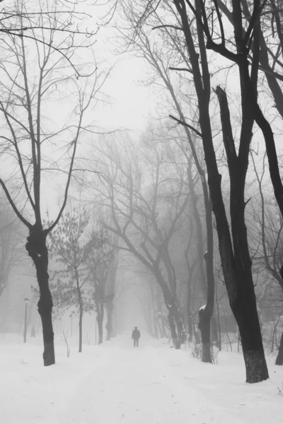 下雪景观与路过的人 — 图库照片
