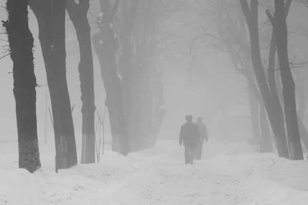 Paisagem nevando com pessoas passando — Fotografia de Stock