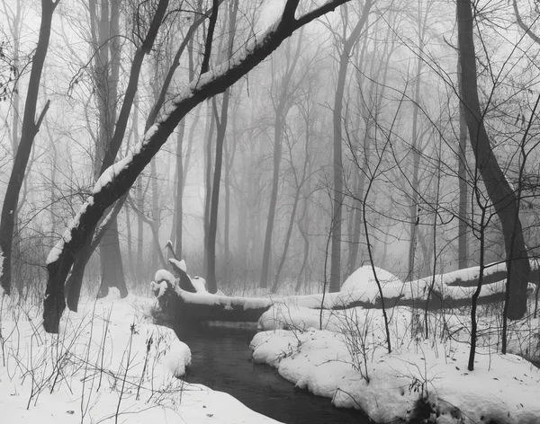 Snöar landskap i parken — Stockfoto