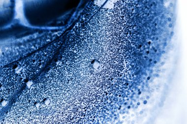 baloncuklar, çizgiler ve ışık soyut sualtı kompozisyonu