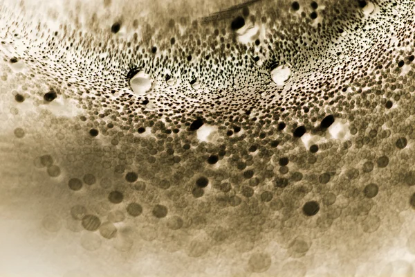 Abstrakte Unterwasserkomposition mit Blasen, Linien und Licht — Stockfoto