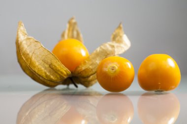physalis peruviana meyve ile açık gri renkli ve yenilgileri closeup