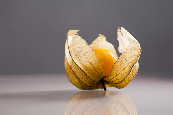 Närbild av physalis hjärtglykosider frukter med ljus grå bakgrund och reflexioner — Stockfoto