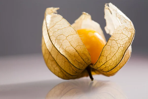 Primer plano de Physalis peruviana frutas con fondo gris claro y reflexiones —  Fotos de Stock