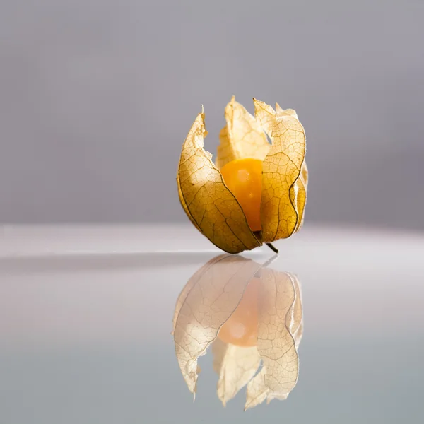 Primer plano de Physalis peruviana frutas con fondo gris claro y reflexiones —  Fotos de Stock