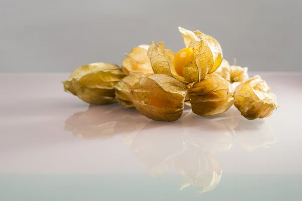 Closeup de frutos Physalis peruviana com fundo cinza claro e reflexões — Fotografia de Stock