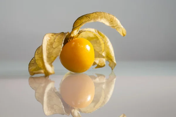 Primer plano de Physalis peruviana frutas con fondo gris claro y reflexiones —  Fotos de Stock