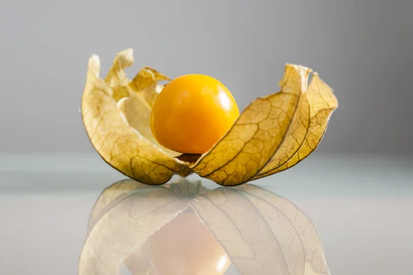 Gros plan de fruits de Physalis peruviana avec un fond et des reflets gris clair — Photo