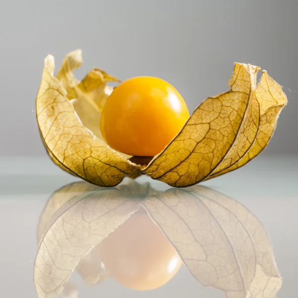 Primer plano de Physalis peruviana frutas con fondo gris claro y reflexiones —  Fotos de Stock