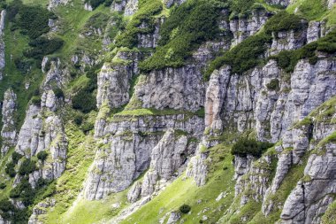 Romanya 'daki Güney Karpatlar' ın bir parçası olan Bucegi Dağları 'ndan manzara