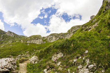 Romanya 'daki Güney Karpatlar' ın bir parçası olan Bucegi Dağları 'ndan manzara