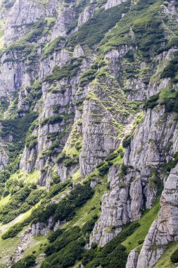 Romanya 'daki Güney Karpatlar' ın bir parçası olan Bucegi Dağları 'ndan manzara