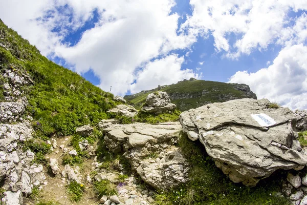 Landschap uit het Bucegi-gebergte, een deel van Zuid-Karpaten in Roemenië — Stockfoto