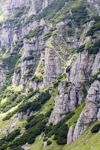 Пейзаж с гор Бучеги, часть Южных Карпат в Румынии — стоковое фото