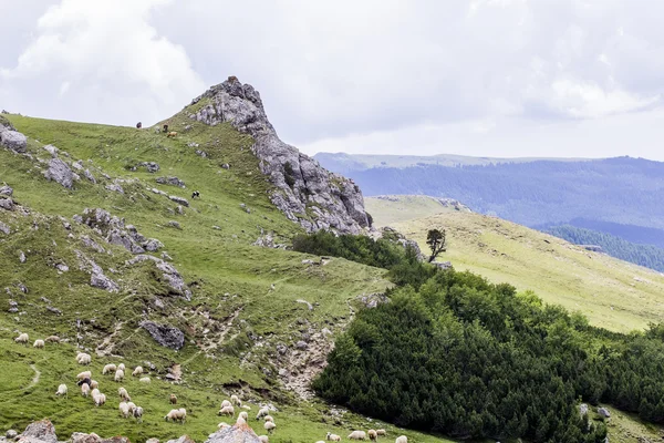 Paisaje de las montañas Bucegi, parte de los Cárpatos del Sur en Rumania —  Fotos de Stock