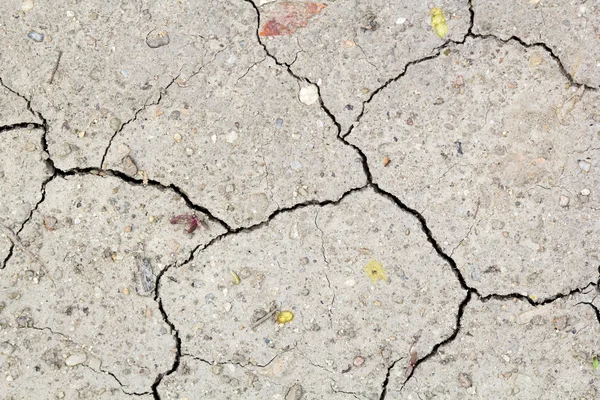 Трещины в почве - текстура и фон — стоковое фото