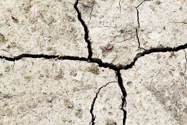 Cracked soil - texture and background