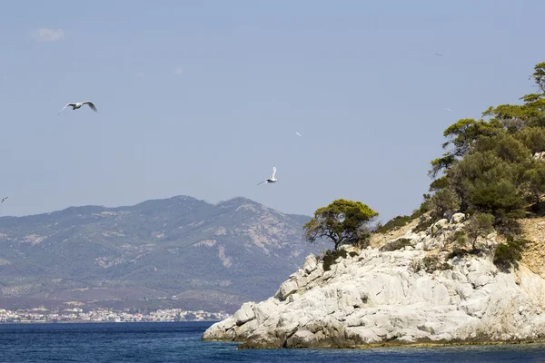 Paesaggio greco con acqua, alberi e montagne — Foto Stock