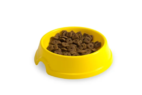 kedi plakalı beslemek