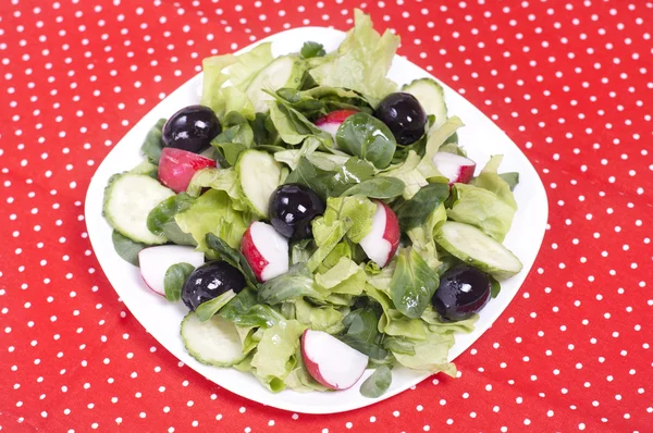 Salat mit schwarzen Oliven und Rettich — Stockfoto