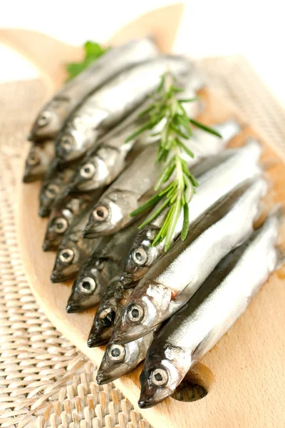 Capelin fresco — Foto Stock