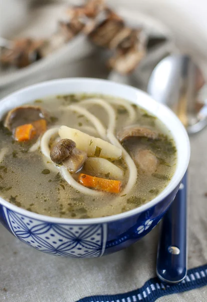 Sopa com cogumelos e espaguete — Fotografia de Stock
