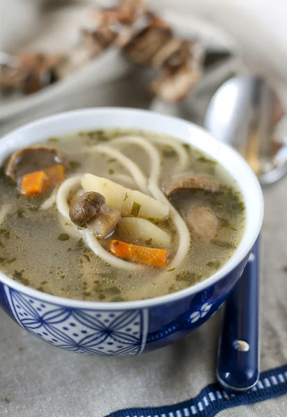 Sopa con champiñones y espaguetis — Foto de Stock