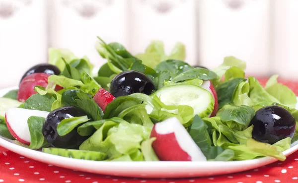 Salat mit Gemüse, Radieschen, schwarzen Oliven und Olivenöl — Stockfoto