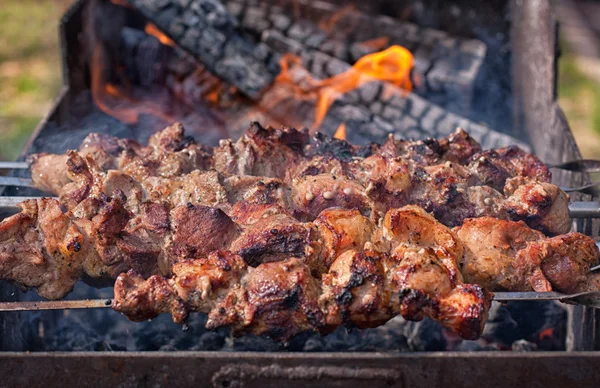 Shish kebab en pinchos en el fuego — Foto de Stock