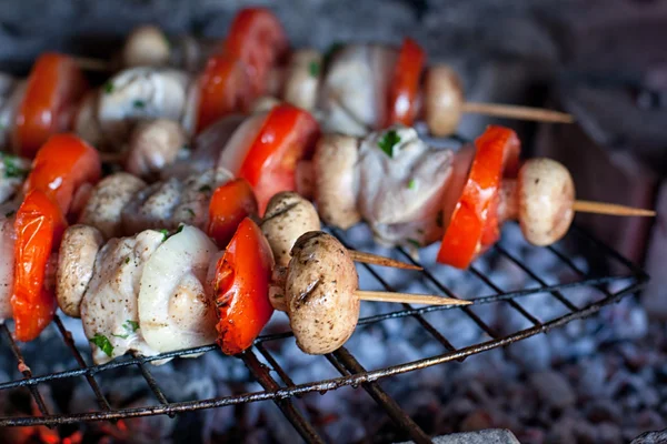 Kebabs de frango — Fotografia de Stock