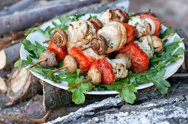 Chicken kebabs — Stock Photo, Image