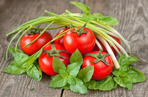 Tomates y albahaca — Foto de Stock