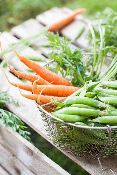 Wortel en erwten — Stockfoto