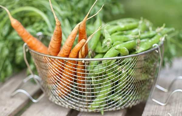 Wortelen en groene erwten — Stockfoto