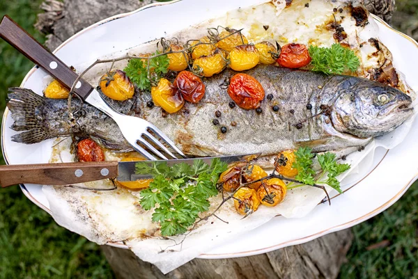 Forel met tomaten — Stockfoto