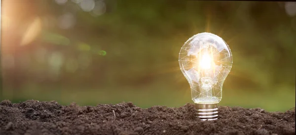 Toprakta küçük bir bitki ve güneş ışığı olan bir ampul. doğada enerji tasarrufu kavramı