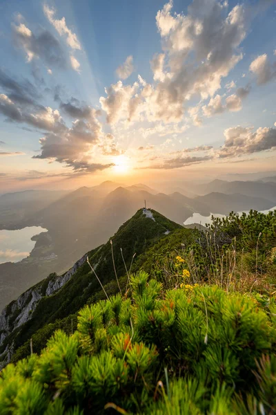 Coucher Soleil Coloré Dans Les Alpes Vue Depuis Sommet Herzogstand — Photo