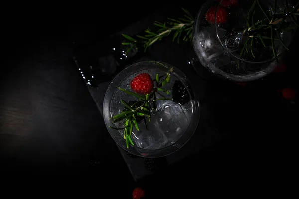 杜松子酒加新鲜覆盆子和迷迭香植物 — 图库照片