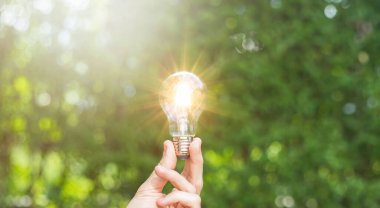 Toprakta küçük bir bitki ve güneş ışığı olan bir ampul. doğada enerji tasarrufu kavramı