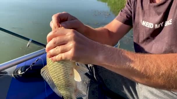 Fishing. Lucky fisherman caught fish on fishing rod, took it off hook and puts it in net. Man enjoys catch sitting in inflatable rubber boat in middle of river. Mens leisure, recreation and hobbies. — Stock Video