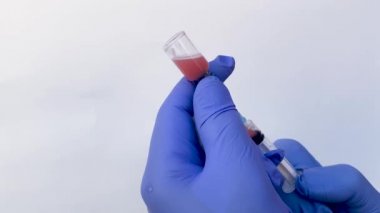 İnsan ya da evcil hayvan aşısı. Koruyucu eldivenli doktor şırıngaya aşı yazıyor. Yakın plan. Virolog bilim adamı. Önleme ve tedavi gribi, virüs salgını, koronavirüs. Boşluğu kopyala.