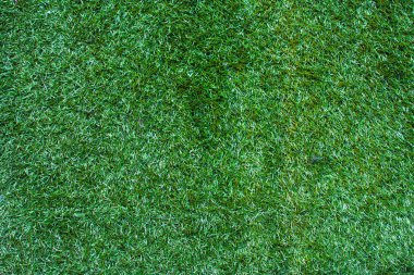 Yeşil çimen yüzeyi