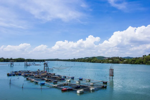 Klec akvakultury, zemědělství, Thajsko — Stock fotografie