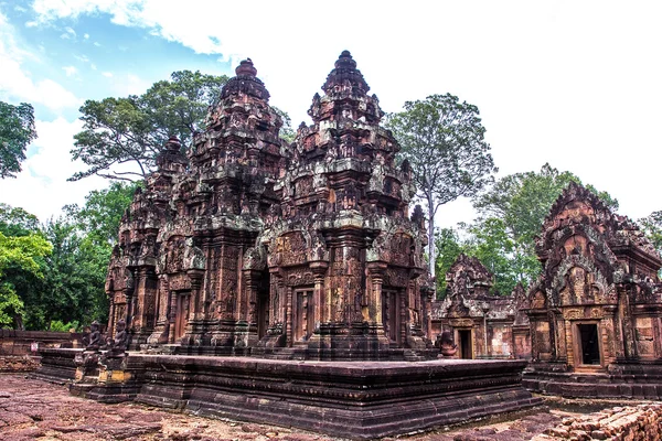 Бантей Шемберас - Ангкор Ват Фокс — стоковое фото