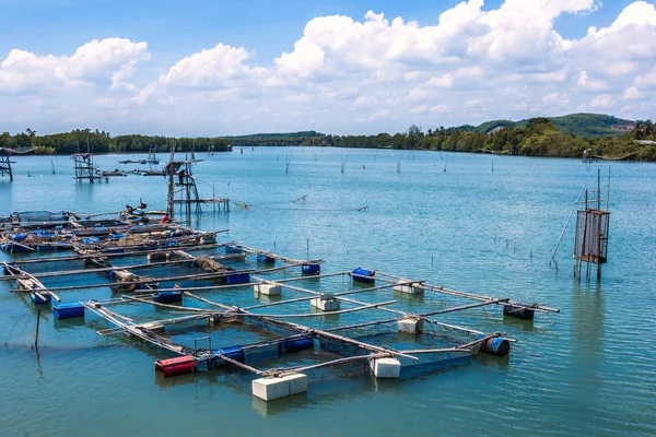 Bur vattenbruk jordbruk, thailand — Stockfoto