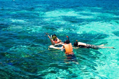 Andaman Denizi 'ndeki Koh Lipe' de şnorkel dalışı, Tayland