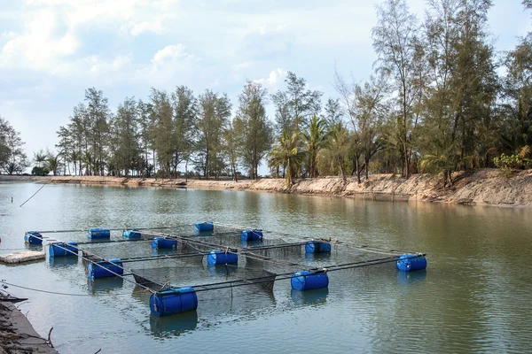 Cage aquaculture farming, Thailand — Stock Photo, Image