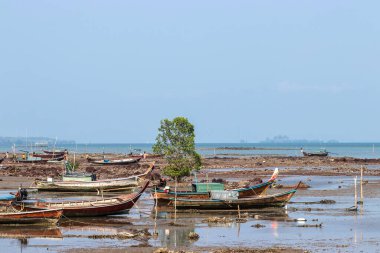 TRANG, THAILAND - MAR23, 2019 - Koh Libong Adası, Trang, Tayland 'da gelgit zamanında deniz kıyısı olan yerel balıkçı teknelerinin manzarası.