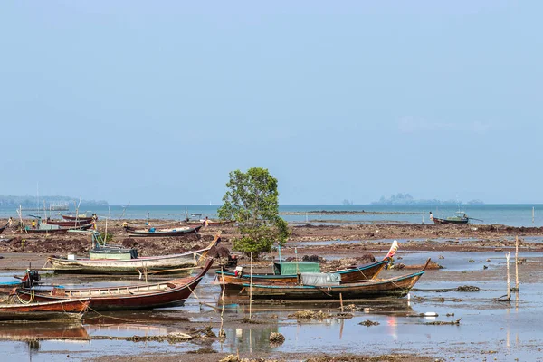 Trang Thailand Mar23 2019 Landskap Med Lokala Fiskebåtar Med Havskust — Stockfoto