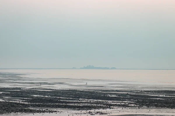 Χαμηλή Παραλία Παλίρροια Πρωί Στο Νησί Koh Libong Trang Ταϊλάνδη — Φωτογραφία Αρχείου